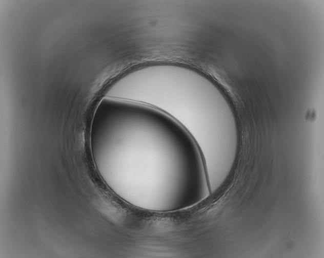 X0000089760685200706210955