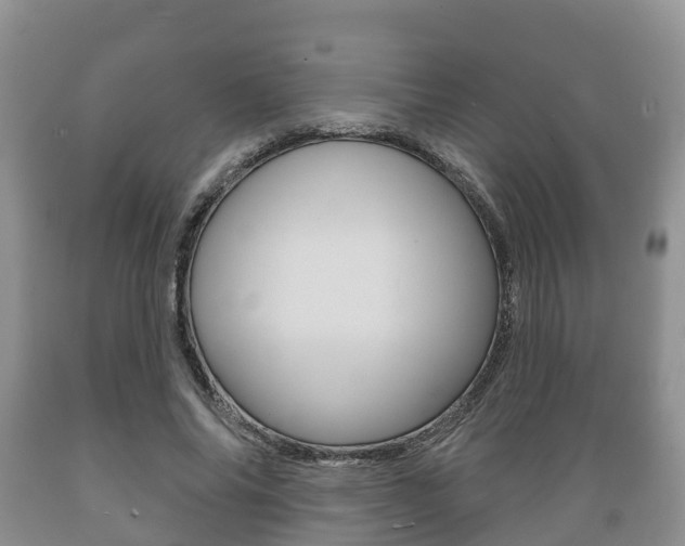 X0000089760686200706210955