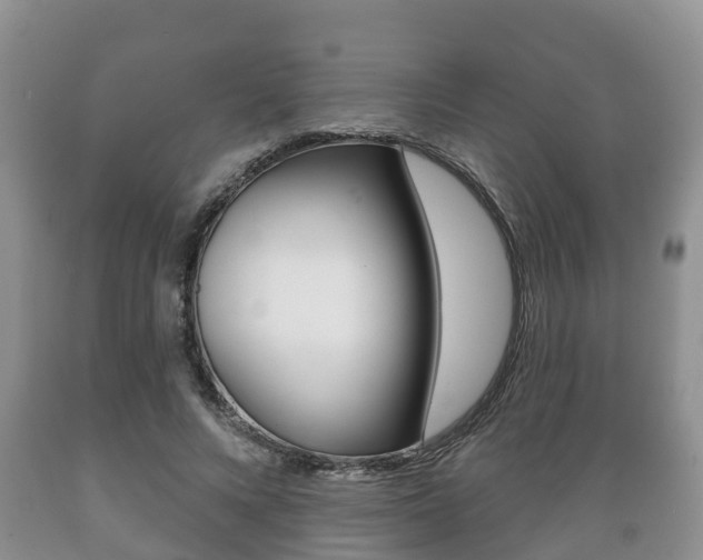 X0000089760688200706210955