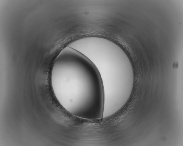 X0000089760689200706210955