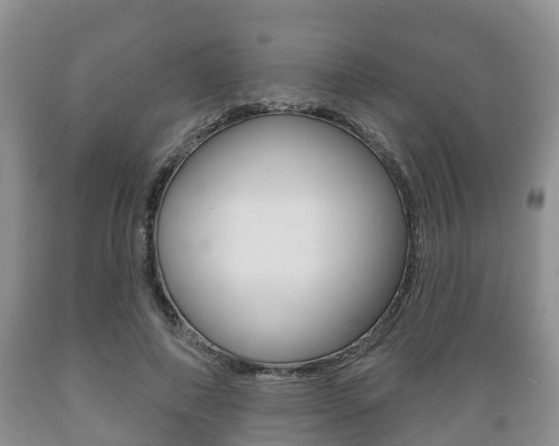 X0000089760690200706210955