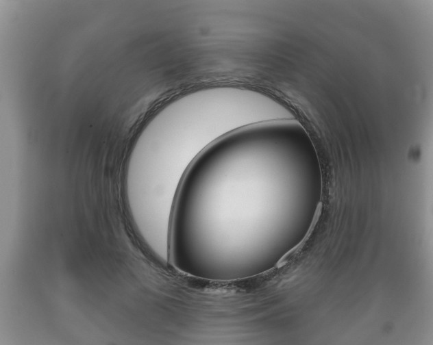 X0000089760693200706210955