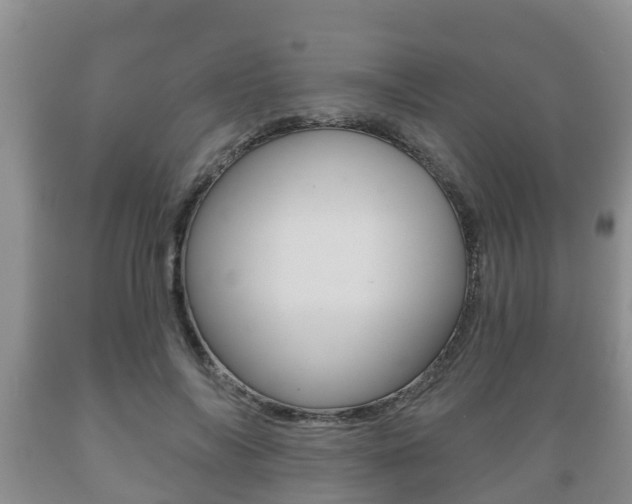 X0000089760694200706210955