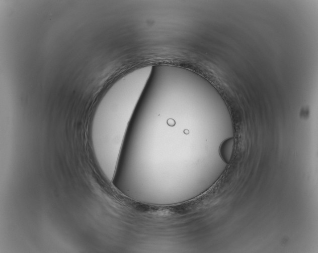 X0000089760695200706210955