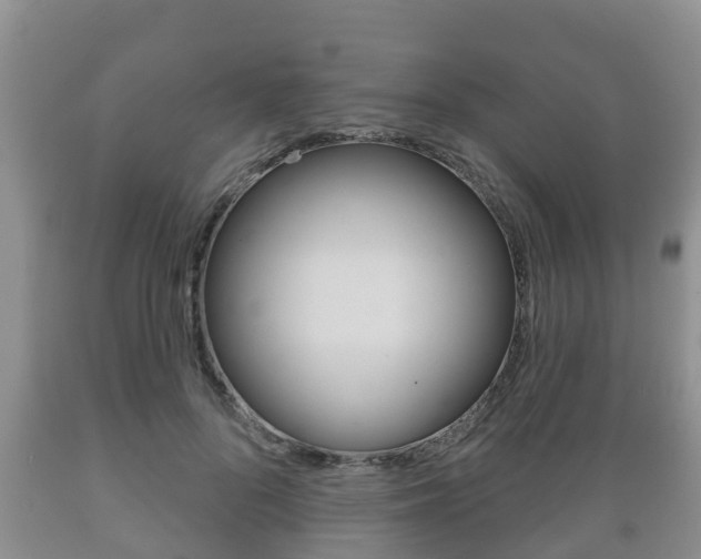 X0000089760696200706210955