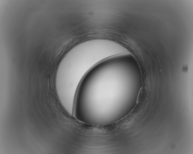 X0000089760697200706210955