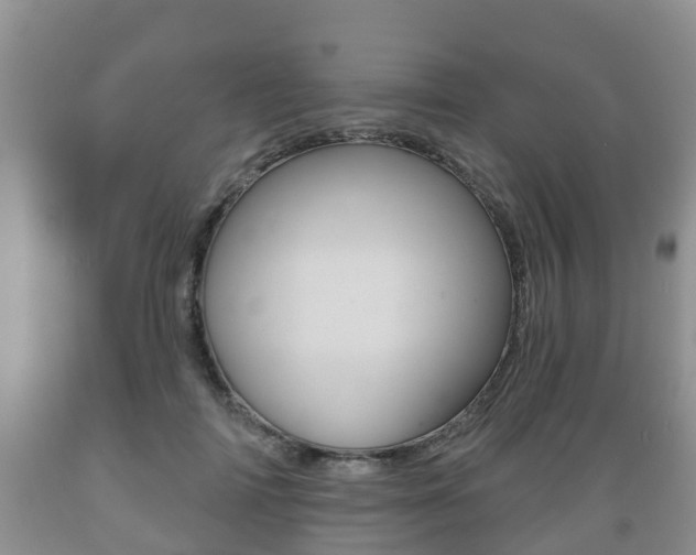 X0000089760698200706210955
