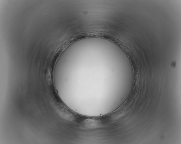 X0000089760699200706210955