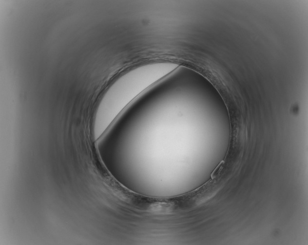 X0000089760700200706210955