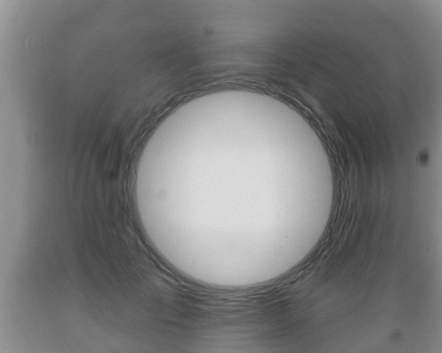 X0000089760701200706210955