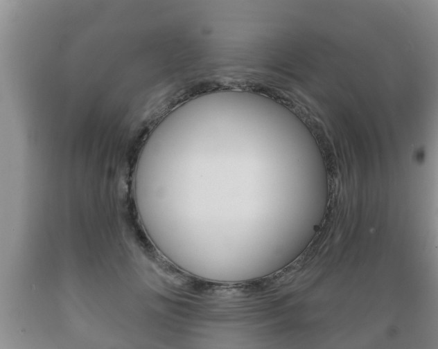 X0000089760702200706210955