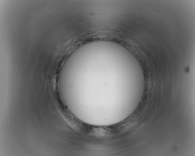 X0000089760703200706210955
