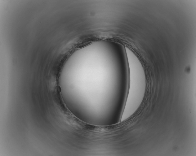 X0000089760704200706210955