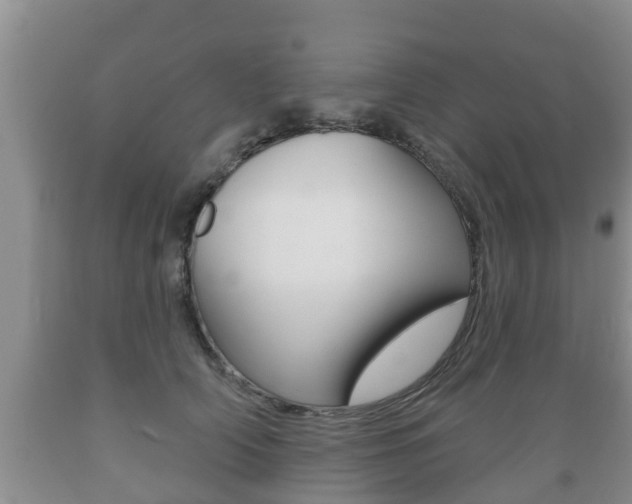 X0000089760706200706210954