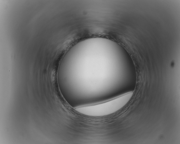 X0000089760708200706210954