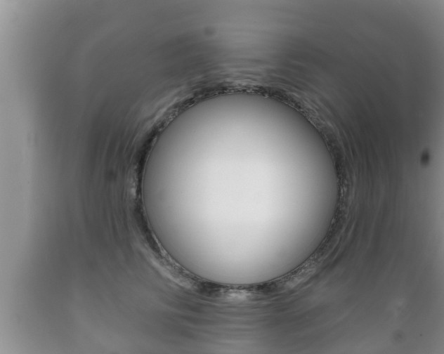 X0000089760710200706210954