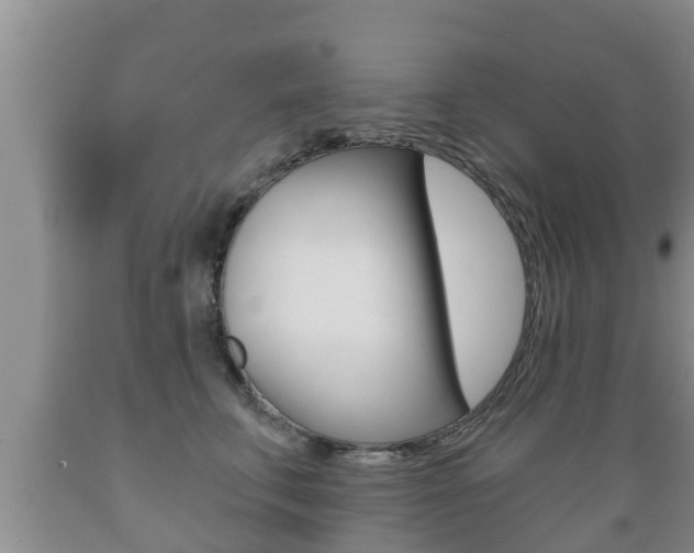 X0000089760711200706210954