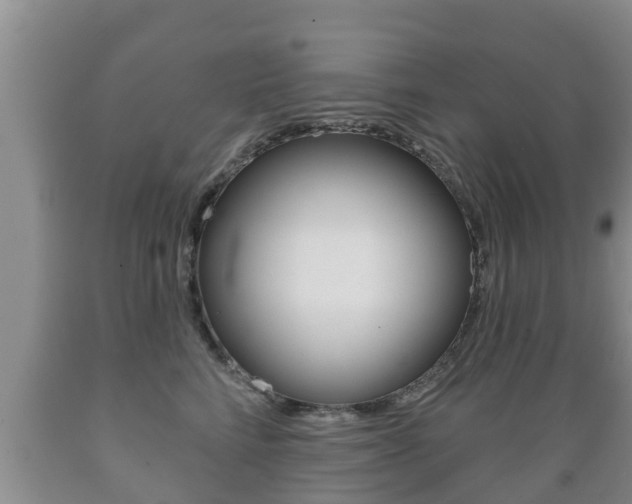 X0000089760712200706210954