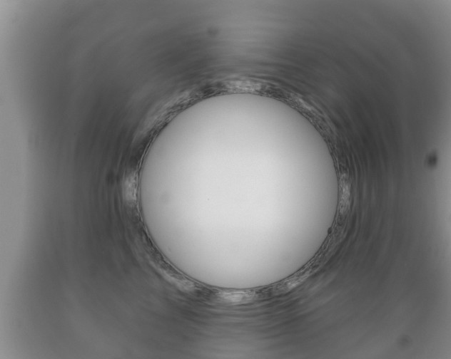 X0000089760713200706210954