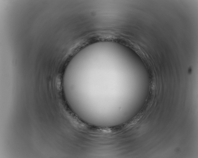 X0000089760715200706210954