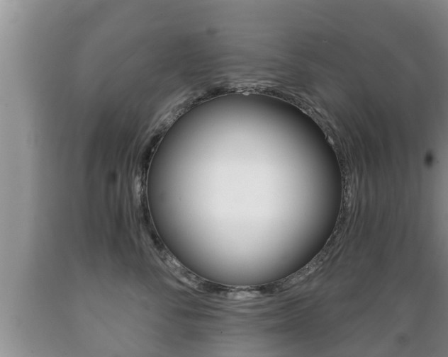 X0000089760716200706210954