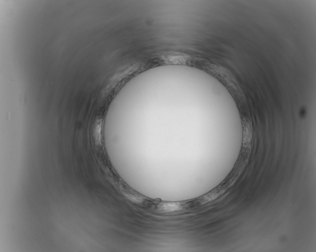 X0000089760717200706210954