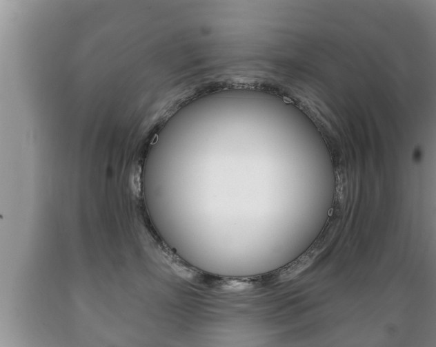 X0000089760718200706210954