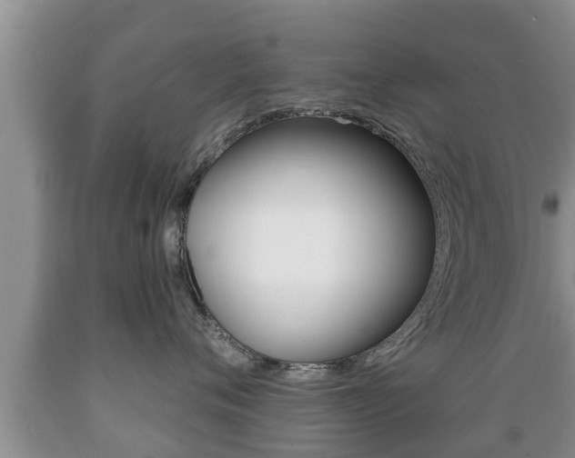 X0000089760720200706210954