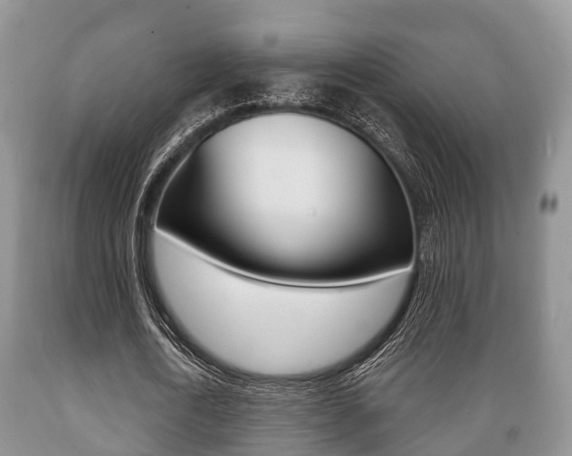 X0000089760722200706210954