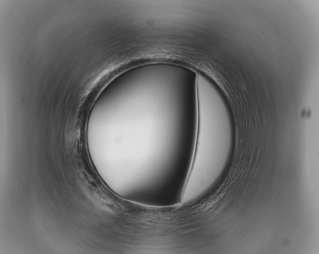 X0000089760723200706210954