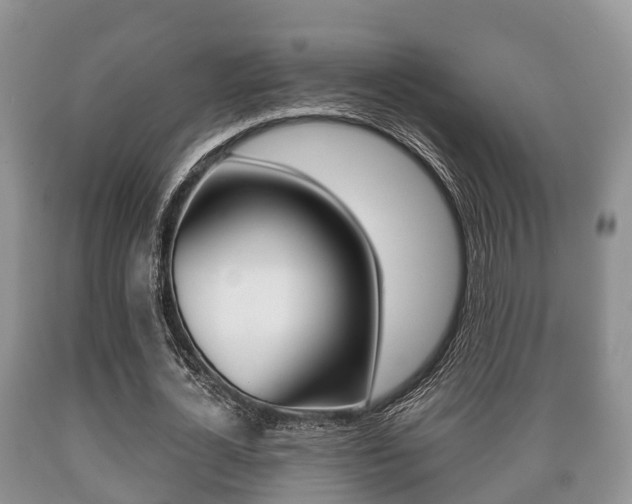 X0000089760724200706210954