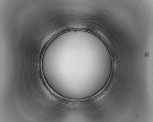 X0000089760725200706210954
