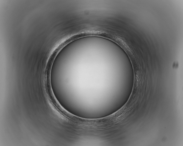 X0000089760726200706210954