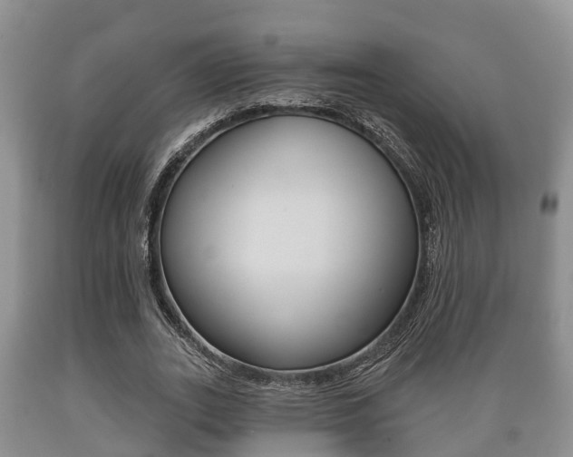 X0000089760727200706210954