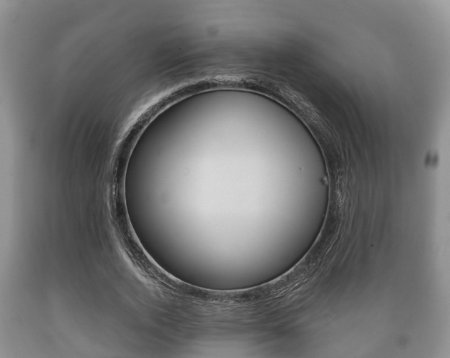 X0000089760728200706210954