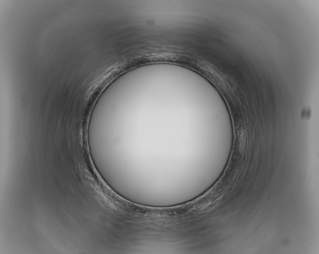 X0000089760729200706210954