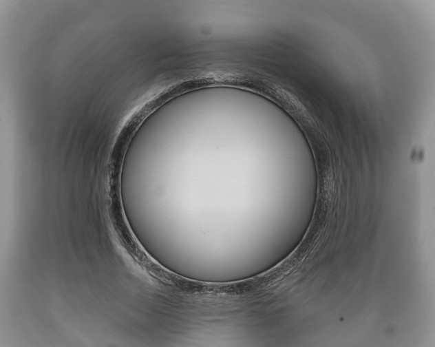 X0000089760730200706210954