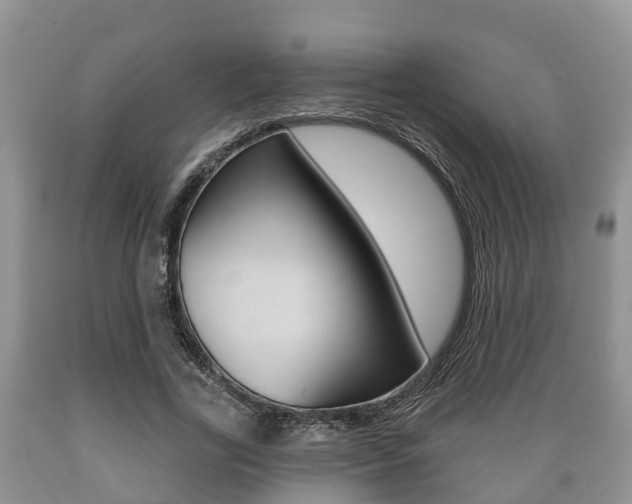 X0000089760731200706210954