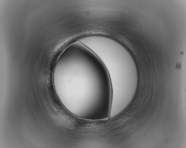 X0000089760732200706210954