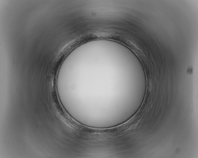 X0000089760733200706210954