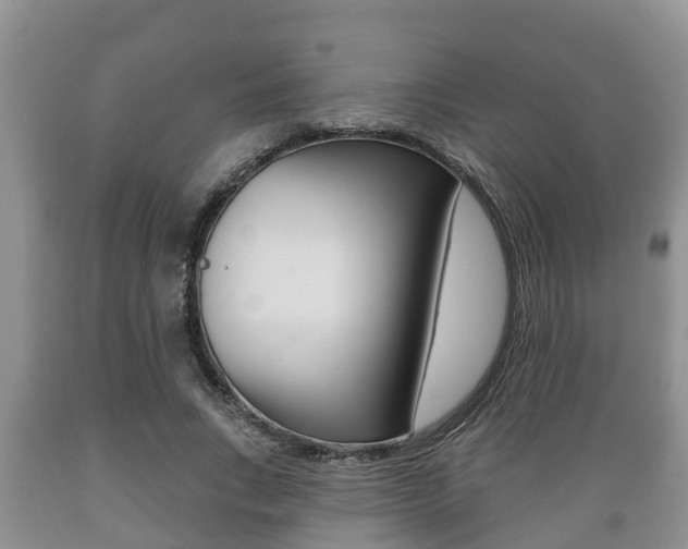X0000089760735200706210954