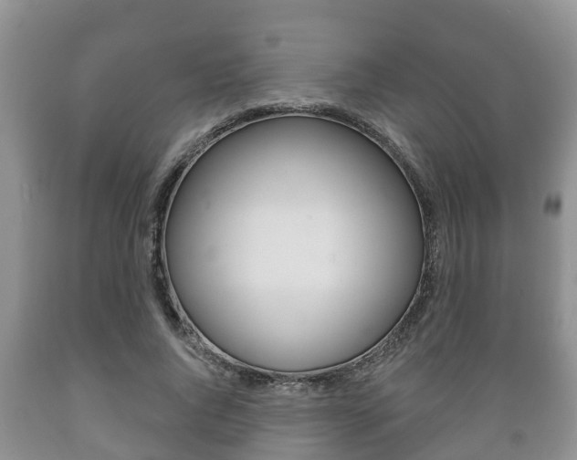 X0000089760736200706210954