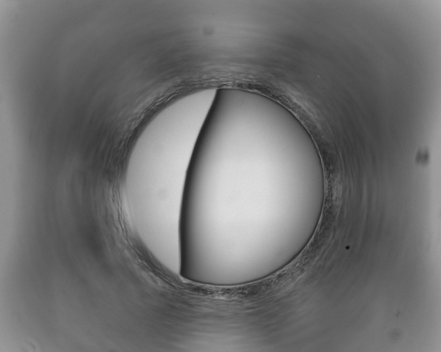 X0000089760737200706210954