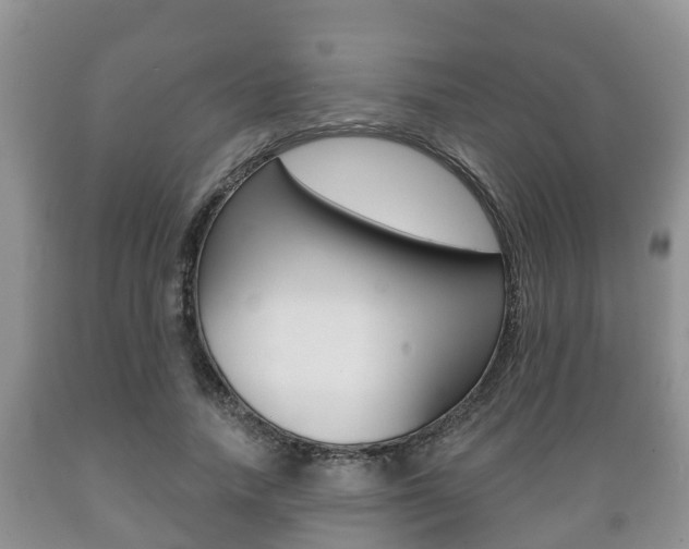 X0000089760738200706210954