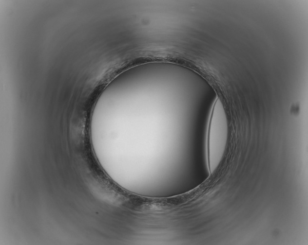 X0000089760739200706210954