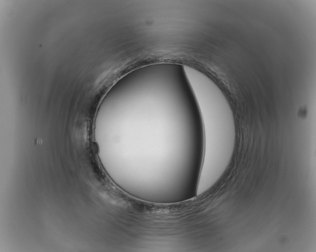 X0000089760740200706210954