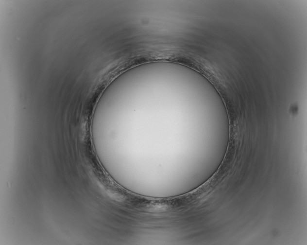 X0000089760741200706210954