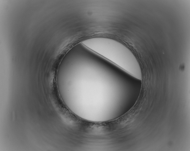 X0000089760742200706210954