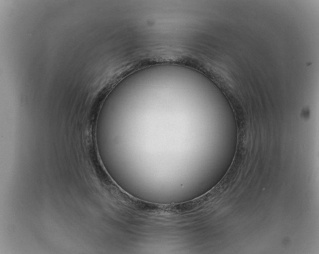 X0000089760743200706210954