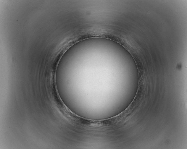 X0000089760744200706210954